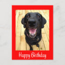 Search for black labrador retriever birthday cards Puppy