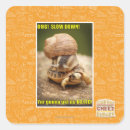Search for slow down stickers I can has cheezburger
