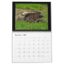 Recherche de escargot calendriers Insecte