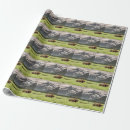 Search for alaska wrapping paper Nature
