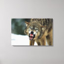 Recherche de grondement posters Nature