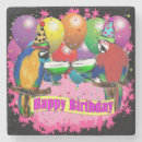 Search for parrot birthday Pets
