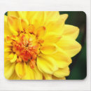 Search for yellow mousepads Flower