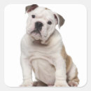 Search for one month old stickers Animal