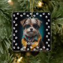 Search for funny pet christmas Modern minimalist