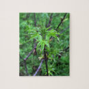 Recherche de saumon puzzles Nature