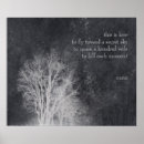 Search for rumi quotes posters Inspirational quote
