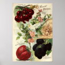 Recherche de fruit vintage posters Antique