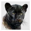 Search for animal black panther art Watercolor
