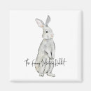 Search for rabbit magnets Cute