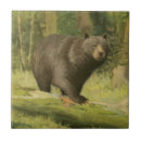 Search for black bear tiles Nature