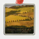 Search for zigzag ornaments Colourful