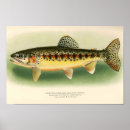 Search for vintage fly fishing art Angling