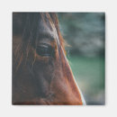 Recherche de tête de cheval magnets Équestre