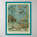 Recherche de requin vintage art Mer
