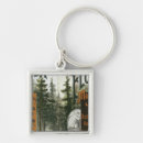 Search for township keychains Col