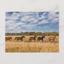 Recherche de cheval rouge cartes postales Paysage