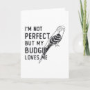 Search for budgie bird Animal