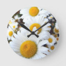Recherche de marguerites horloges Photographie