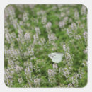 Search for wild side stickers Animals in the wild