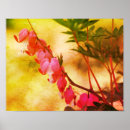 Search for bleeding art Floral