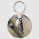 Search for bird house keychains Home