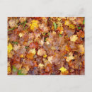 Recherche de pile cartes postales Automne