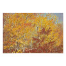 Search for fall foilage Leaves