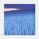 Search for region magnets Blue