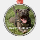 Recherche de pitbull ornements Amoureux des chiens