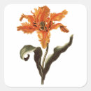 Search for orange lily stickers Lilies