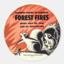 Search for forest fire Forest fires