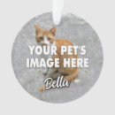 Search for cat dad ornaments Pets