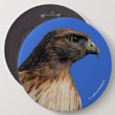 Recherche de buse badges Rapace