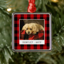Recherche de red ornaments Chien
