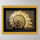 Recherche de coquillages de art Pour tous