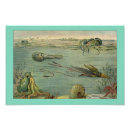 Recherche de seiches posters Calmar