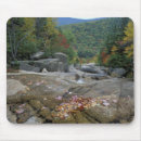 Search for appalachian electronics North america