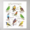 Recherche de biodiversité posters Philippine