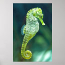Recherche de aquarium posters Sous l'eau
