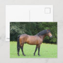 Recherche de nouvelle b posters Animal