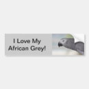 Search for african bumper stickers Grey
