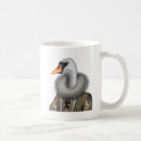 Search for swan mugs Animals