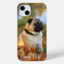 Search for pug cases Animals