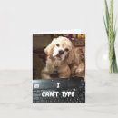 Search for cocker spaniel photography Friend