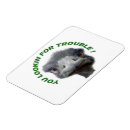 Recherche de autruche magnets Sauvage
