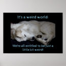 Search for weird posters White