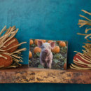 Recherche de soyez heureux plaques Mignon