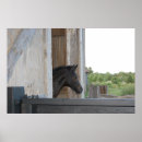 Recherche de stable posters Nature