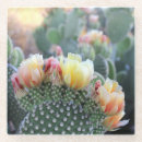 Search for cactus barware Nature
